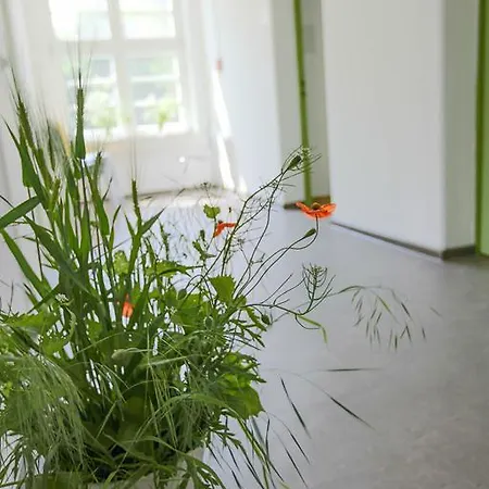 Family بيت شباب *